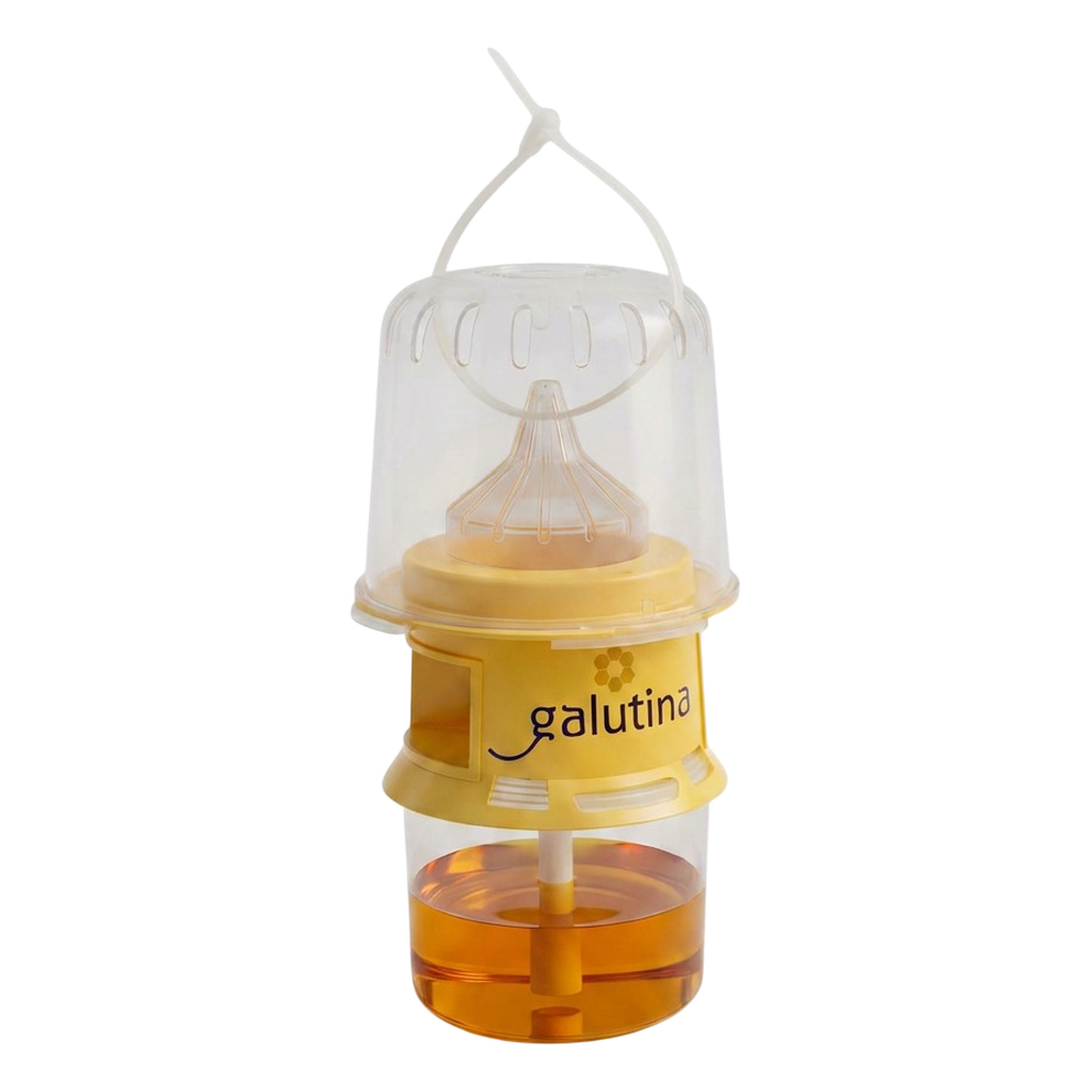 Trampa con cebo amarelo