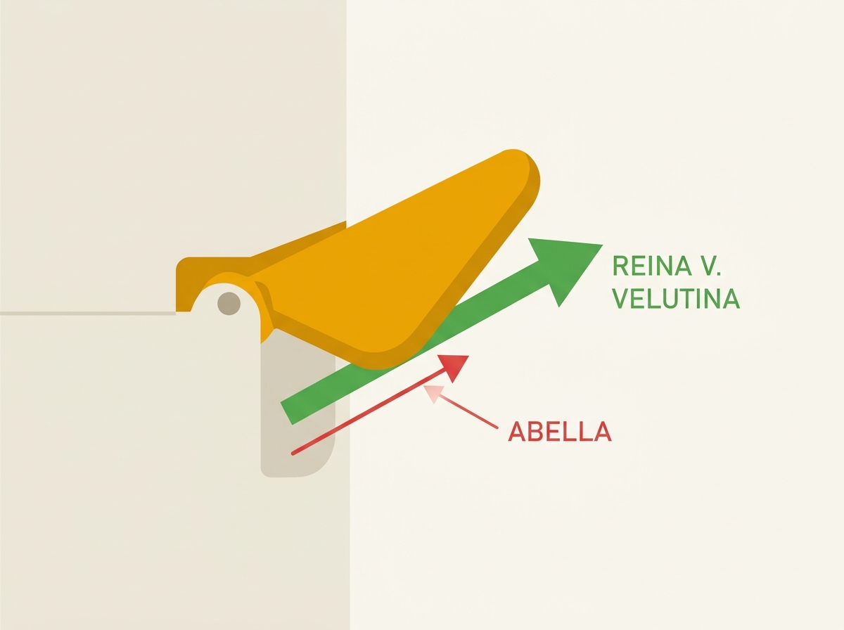 Esquema da trampilla con forza calibrada